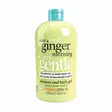 One Ginger Morning Shower Gel 500ml - Vartalonhoito - 4310022 - 1