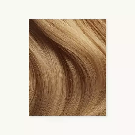 Evoque Tape Weft 8GA 50cm (LB04) - Teippipidennykset - 22700023 - 1