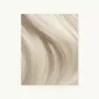 Evoque Tape Weft ICE BLONDE 50cm (LB15) - Teippipidennykset - 22700034 - 1