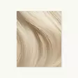 Evoque Tape Weft IVORY BLONDE 50cm (LB16) - Teippipidennykset - 22700035 - 1