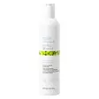 No Frizz Allowed Perfecting Conditioner 300ml - Kostetuttavat hoitoaineet - 26000157 - 1